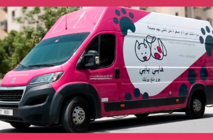 12813778905005203053