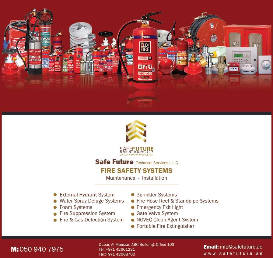 Safe Future Technical Services LLC