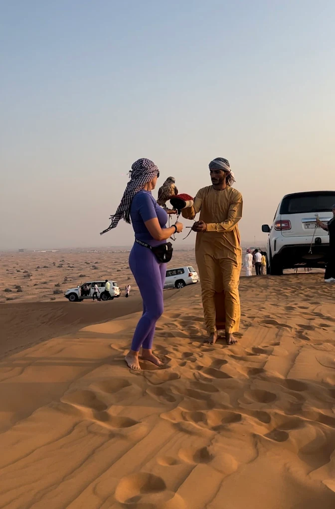 Tourist experiencing falconry in Dubai UAE, handling an eagle falcon with guide – traditional صقارة experience