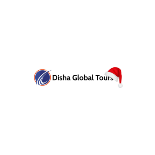 Disha Global Tourism LLC