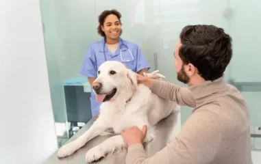 Howgroomerspotpetshealthissues