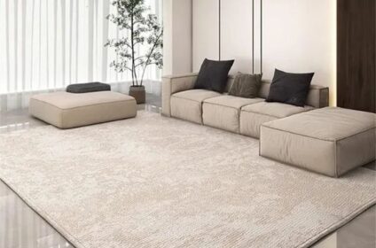 Area Rugs in Living Room