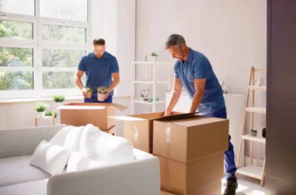 Spider Packers and Movers