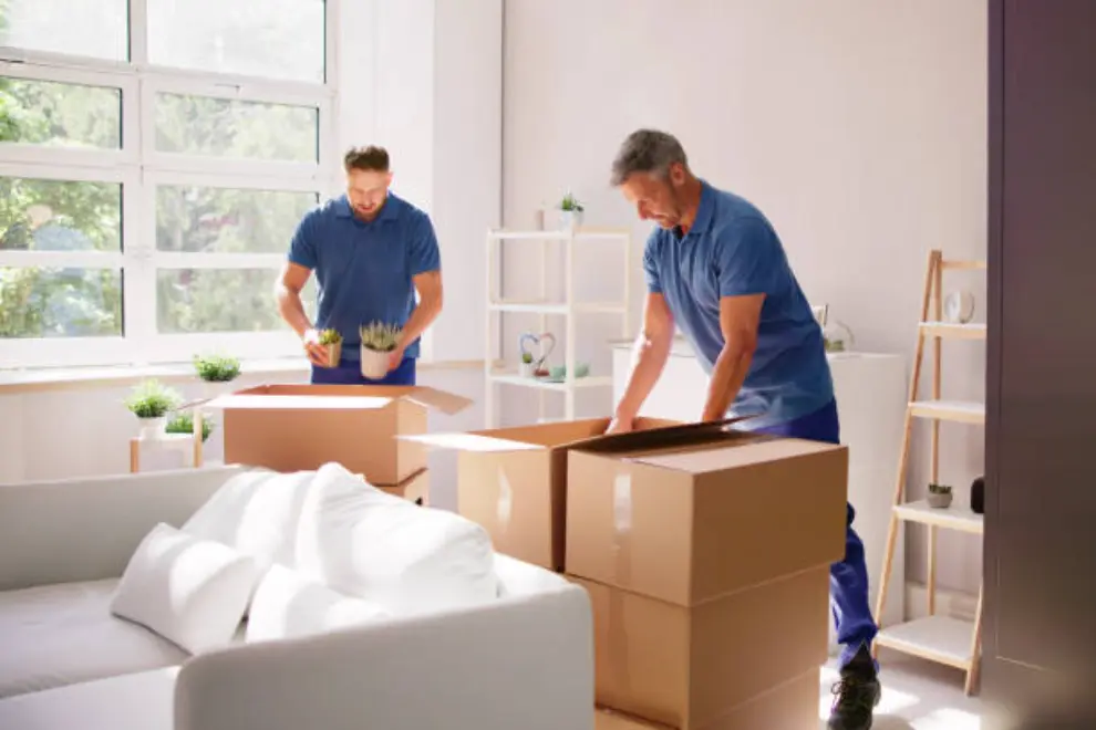 Spider Packers and Movers