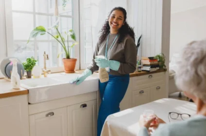 Mega Meter Cleaning Services LLC