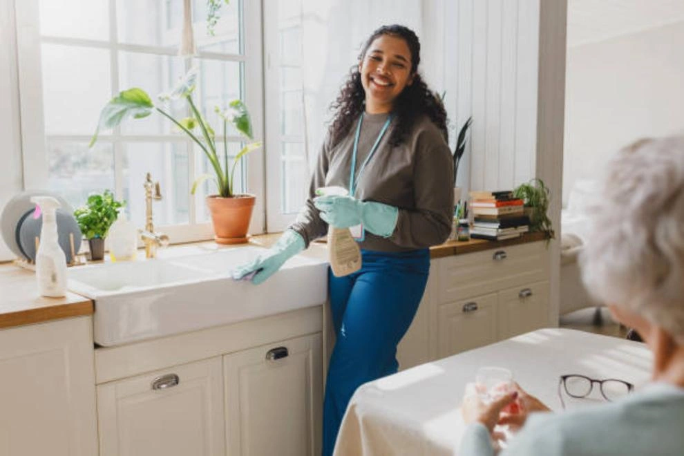 Mega Meter Cleaning Services LLC